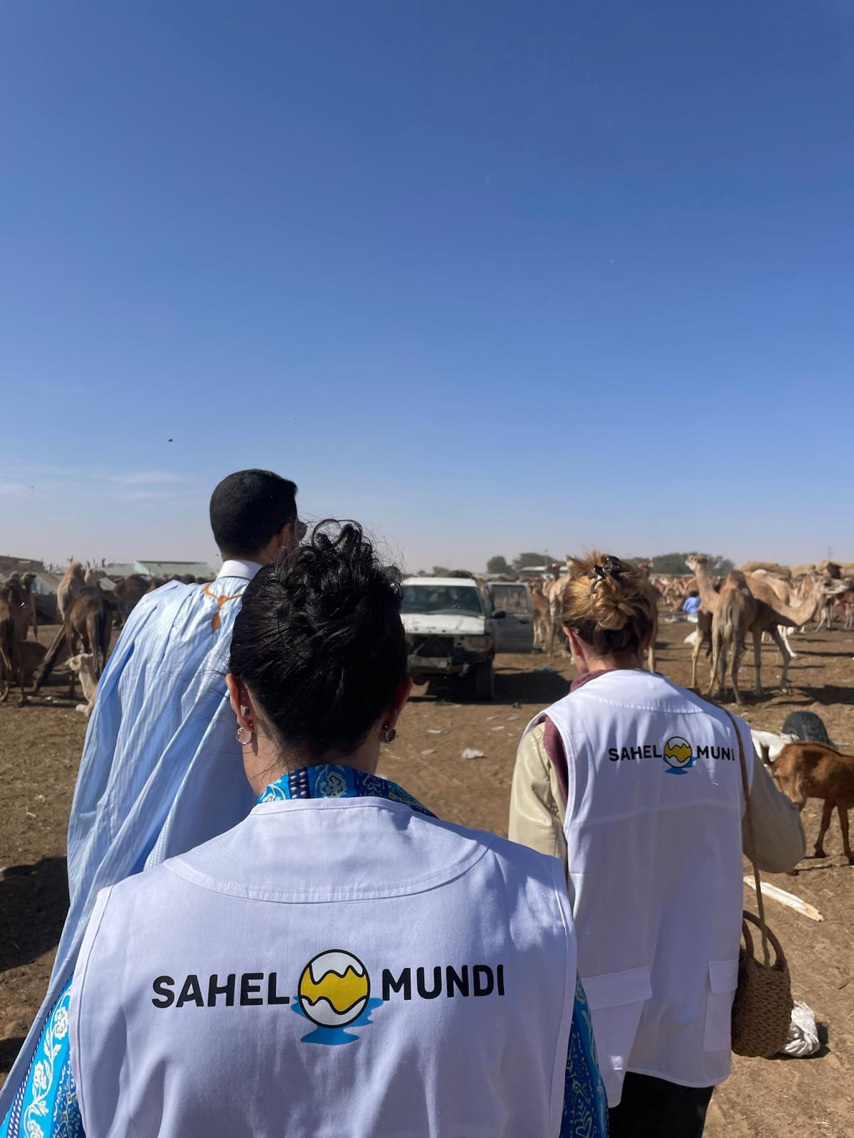 Homepage Sahel Mundi